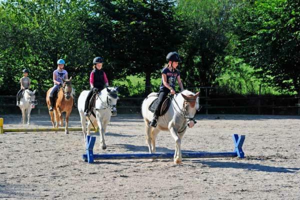 Familienhotel Reiterhof Runding 외부 사진