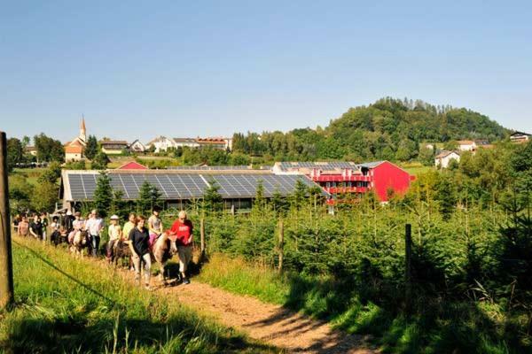 Familienhotel Reiterhof Runding 외부 사진